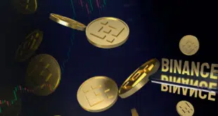 BINANCE COIN - BNB