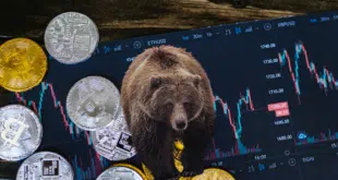 CRYPTO BEAR