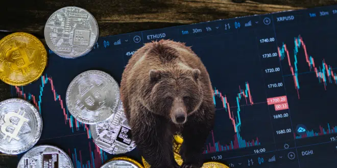 CRYPTO BEAR